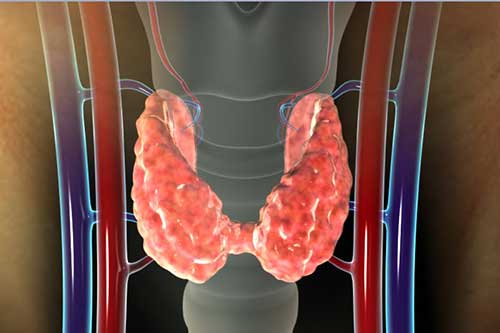diabetes, thyroid and endocrinology treatment in Kochi