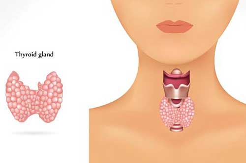 diabetes, thyroid and endocrinology treatment in Kochi