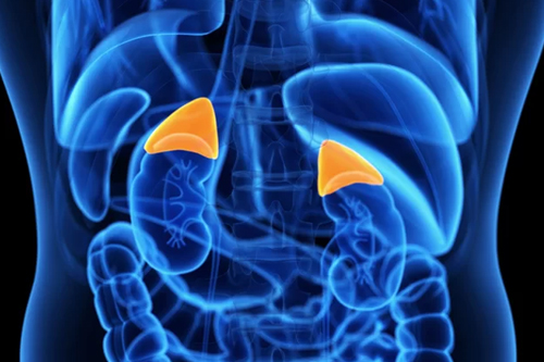 diabetes, thyroid and endocrinology treatment in Kochi