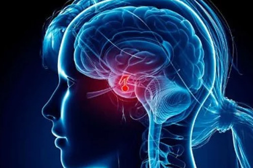 diabetes, thyroid and endocrinology treatment in Kochi