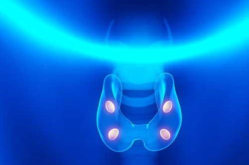 diabetes, thyroid and endocrinology treatment in Kochi