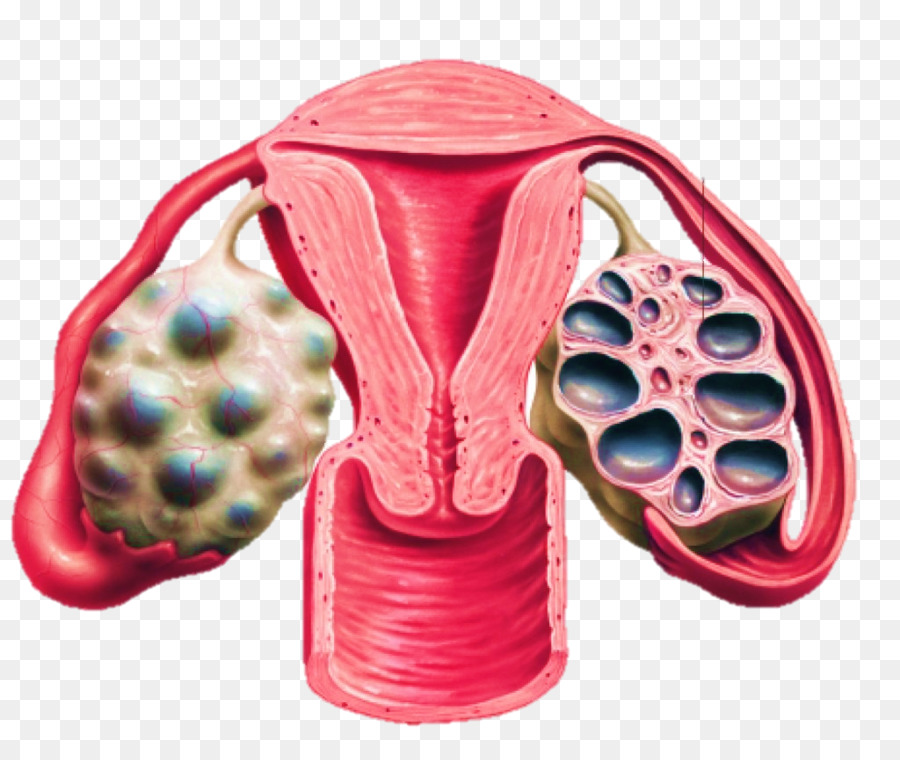 diabetes, thyroid and endocrinology treatment in Kochi